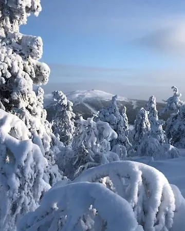 Sointuilevi R69 Moderni Levin Keskustan Tuntumassa Appartement