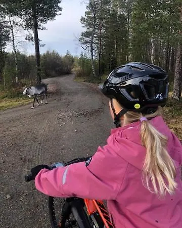 Sointuilevi R69 Moderni Levin Keskustan Tuntumassa Levi