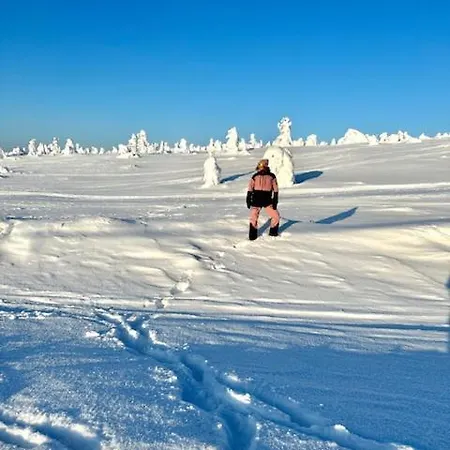 Sointuilevi R69 Moderni Levin Keskustan Tuntumassa Appartement *