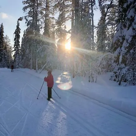 Sointuilevi R69 Moderni Levin Keskustan Tuntumassa Appartement *