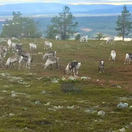 Sointuilevi R69 Moderni Levin Keskustan Tuntumassa Lägenhet Levi