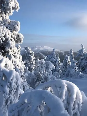 Sointuilevi R69 Moderni Levin Keskustan Tuntumassa 아파트