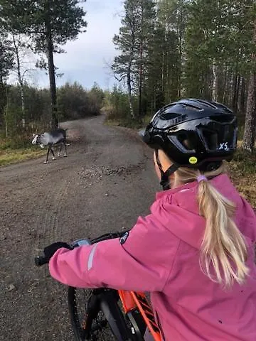 Sointuilevi R69 Moderni Levin Keskustan Tuntumassa 레비