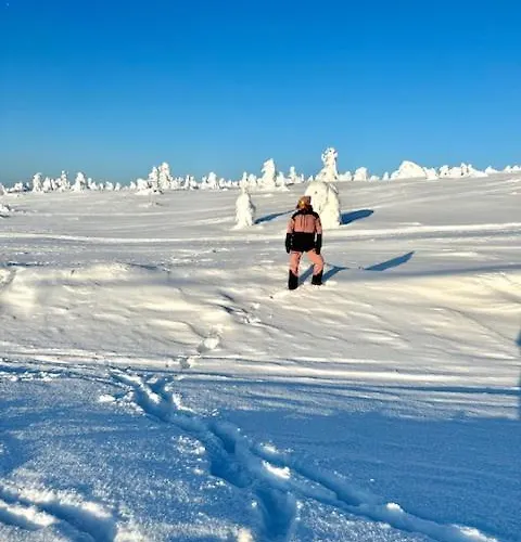 Sointuilevi R69 Moderni Levin Keskustan Tuntumassa 아파트 *