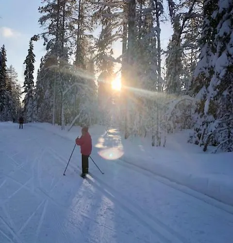 Sointuilevi R69 Moderni Levin Keskustan Tuntumassa 아파트 *